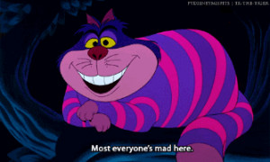 cat # alice in wonderland # cartoons comics # cheshire cat