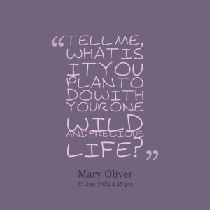 Quotes Picture: tell me, what is it you plan to do with your one wild ...