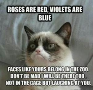 Good poem grumpy cat lol
