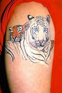 It is a different design of tiger tattoo. One tiger is of white color ...
