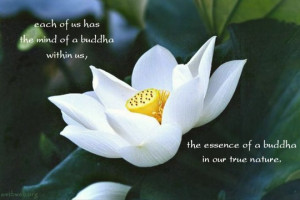 ... mind of Buddha within us, The essence of a Buddha in our true nature