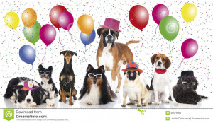 http://thumbs.dreamstime.com/z/party-dogs-some-different-carnival-hats ...