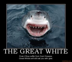 great-white-shark-gum-disease-great-white-great-white-demotivational ...