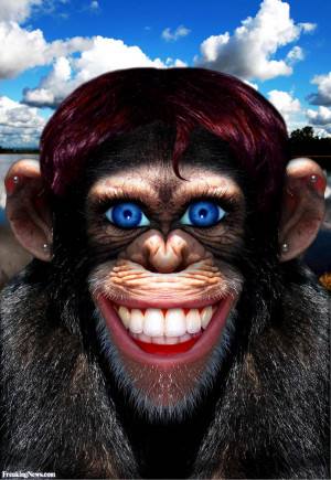 crazy monkey with human face pictures strange crazy monkey with