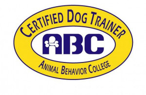 In Line K9 Dog Training - Psychology