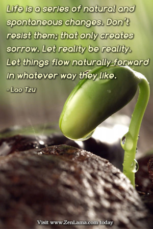 Daily Inspiration Quote: Life is a series of natural and spontaneous ...