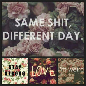 its_the_same_shit_just_a_different_day_so_stay_strong_and_love_our ...