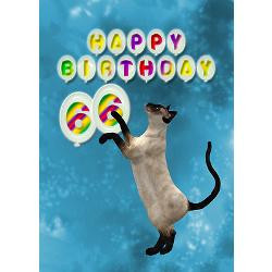 66th_birthday_card_with_a_cat_greeting_card.jpg?height=250&width=250 ...
