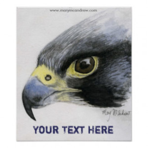 Search Results for: Peregrine Falcon Pencil Drawings