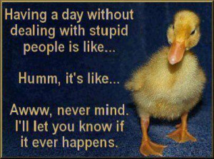 Day without stupid people - Funny pictures! Picture