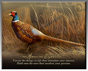 Pheasant Inspirational Wildlife Wall Plaque