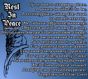 Comments by ZingerBug.com