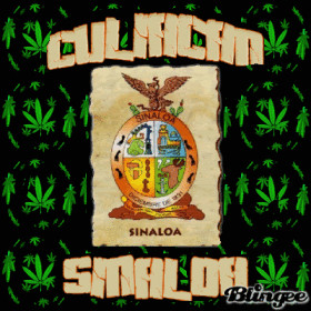 Sinaloa image by elchacalozo on Photobucket