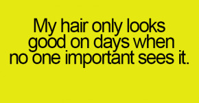 Related Pictures restaurant on the tree in okinawa funny pictures ...