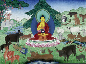 Buddhism and Animals