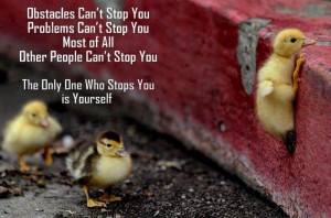 Quote No one can stop you but yourself!