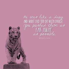 colleenrayhouck tigers curse quote @tigers.curse on ig