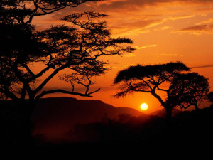 Fondos de Pantalla / Atardeceres / Atardecer en Africa