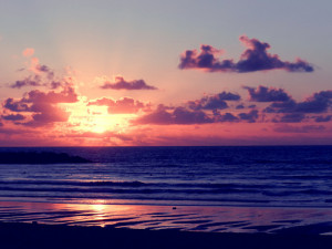 beach, beautiful, cute, love, nature, photography, pink, purple ...