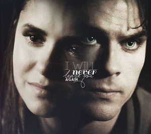 Most popular tags for this image include: delena, elena gilbert, damon ...