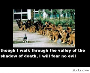 daily quotes, funny animals, funny cartoons, funny easter 2013, funny ...