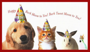 ... all measure our age in dog years – there are way more birthdays