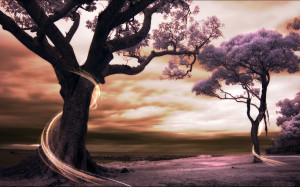 trees, colorful, beautiful, lovely - inspiring picture on Favim.com