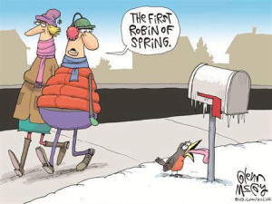 Funny First Robin Of Spring Cartoon Image Picture