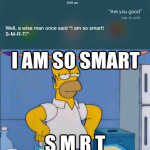 siri quotes the simpsons the 100 best classic simpsons quotes