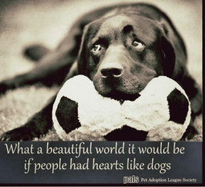 on dogs. If only people had hearts like dogs.. Dogs Quotes, Crazy Dogs ...