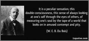 It is a peculiar sensation, this double-consciousness, this sense of ...
