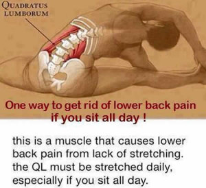 Stretches For Lower Back Pain Quotes Quotes