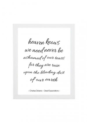 Book quote poster- Charles Dickens- Great Expectations quote- literary ...