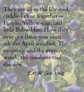 purple pansy quote early spring