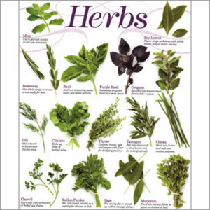 Medicinal Herbs Medicinal herbs