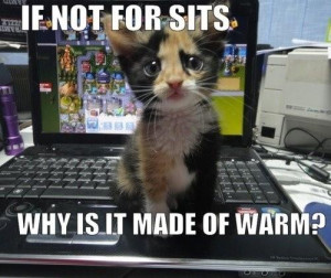 Cat-Humor-Bengal-Cat-Jokes~~element84.jpg