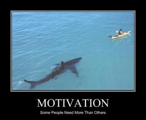 funny caption picture motivation shark chasing canoe some people need ...