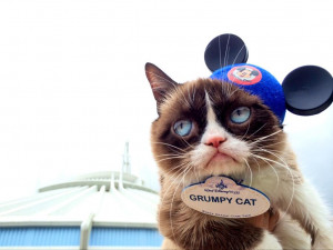 Grumpy Cat Grumpy Cat Disney World Name Tag 05.03.2014