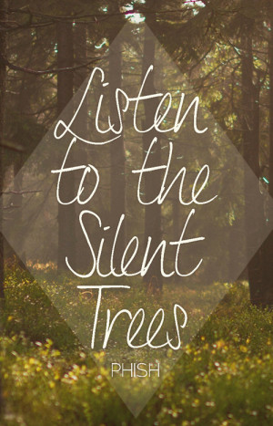 Song Lyrics Quote Poster - Phish - Walls of the Cave