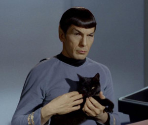 Leonard Nimoy, purrfect as Spock. Courtesy/CBS