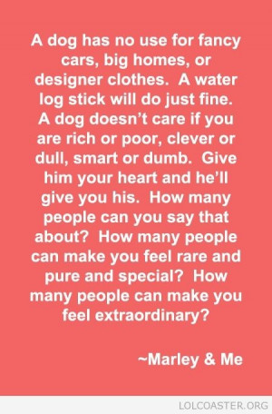 Found on lolcoaster.org