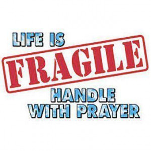 Life Is Fragile Handle