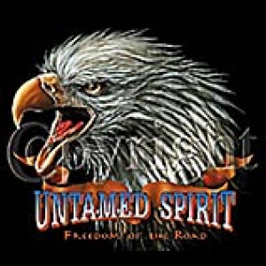Untamed Spirit Eagle Shirt