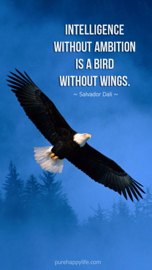 Inspirational Quote: Intelligence without ambition is a bird without ...