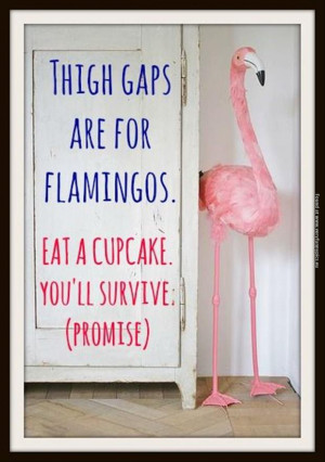 funny pictures tight gaps are for flamingos