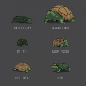 Turtleslayers
