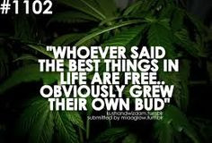 Stoner Quotes