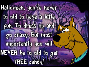 Cute Halloween Quotes And Sayings Funny halloween