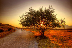 Turn your face toward the sun and the shadows will fall behind you ...