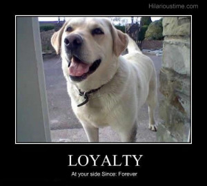 loyal dog
